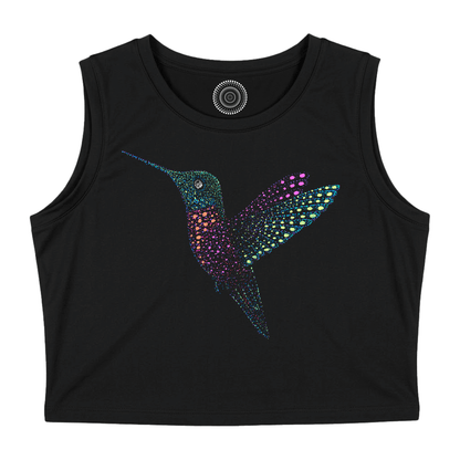Dinesh the Hummingbird