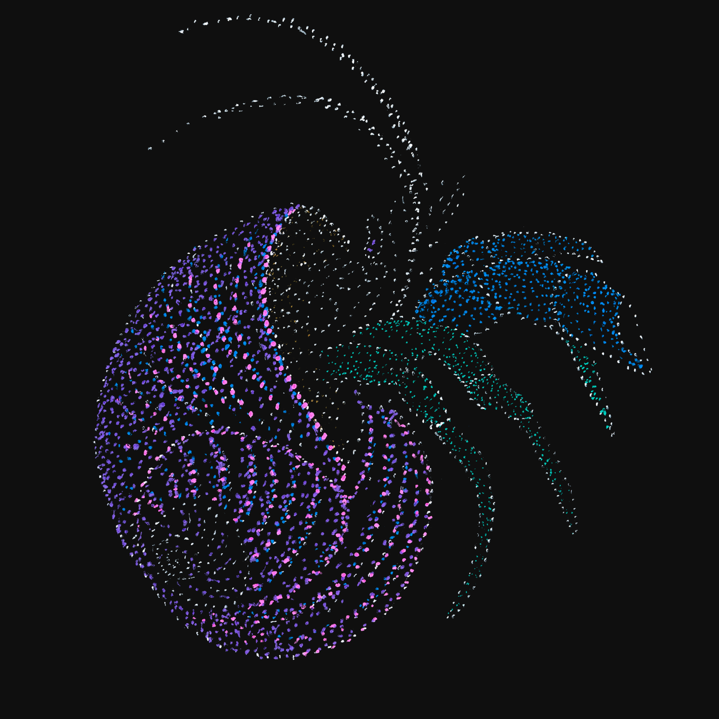 clothing-apparel-cotton-arpit-crab