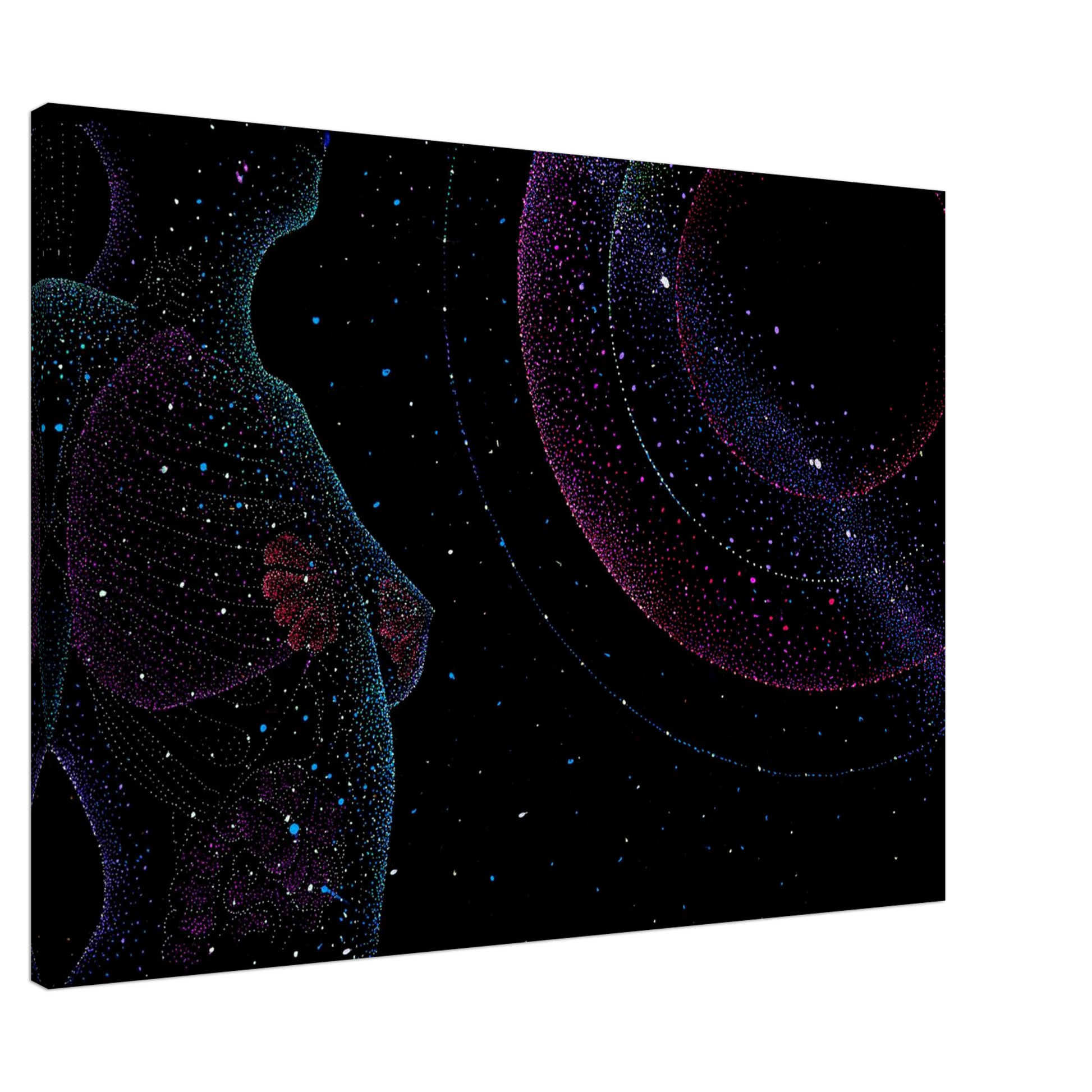 b7394766-d51e-4dfc-999d-f015627d78f4