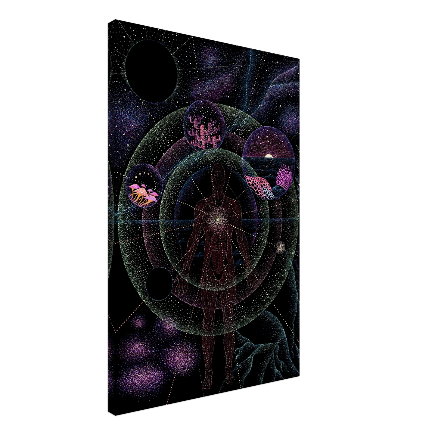 bc0005fc-d86d-4c76-9952-e102f482d1ab