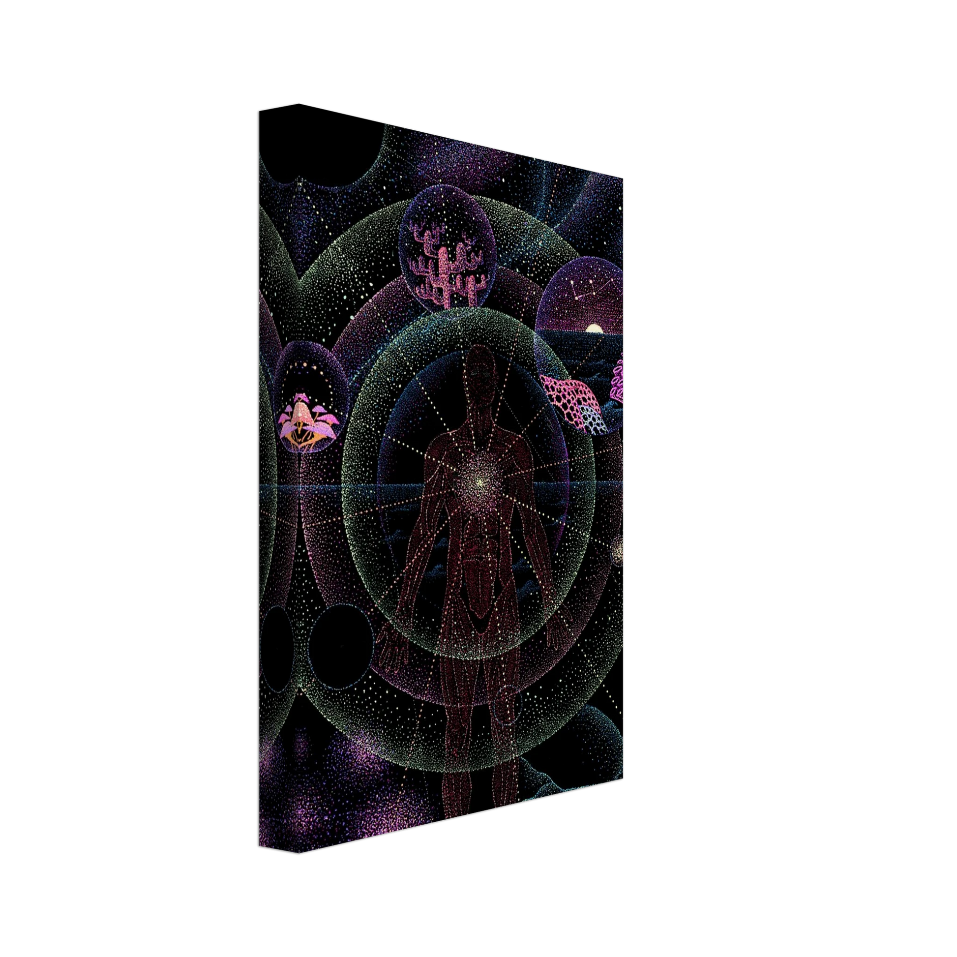 bf2ed8db-4841-483f-b2bd-527094ea2bc3