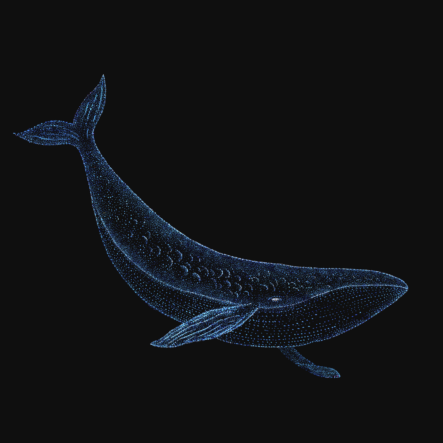 Mahesh the Patient Whale