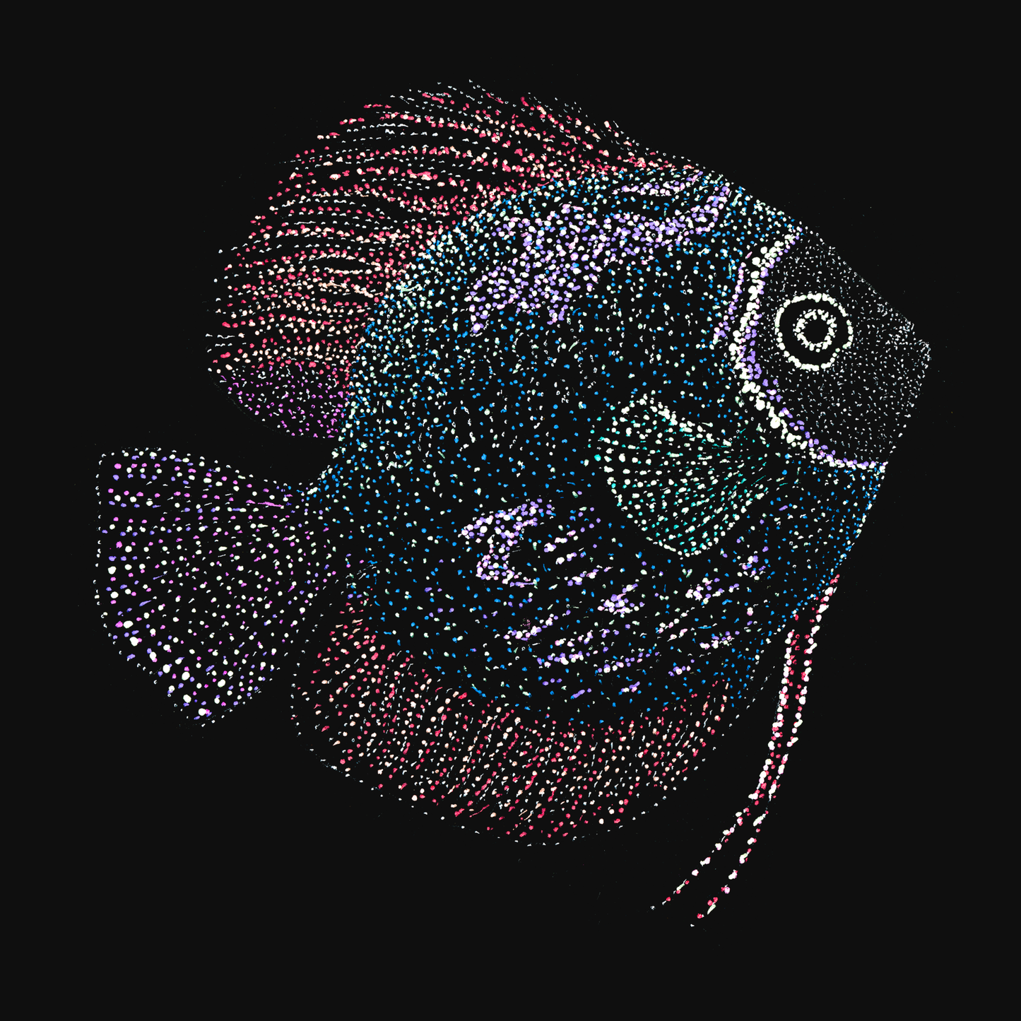 clothing-apparel-cotton-martin-fish
