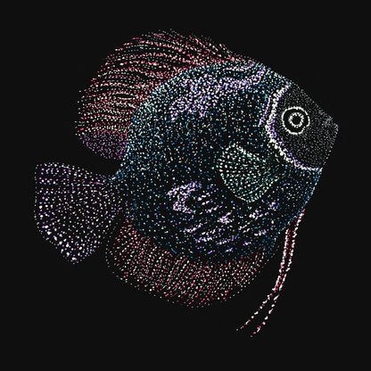 clothing-apparel-cotton-martin-fish
