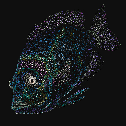 clothing-apparel-cotton-jin-fish