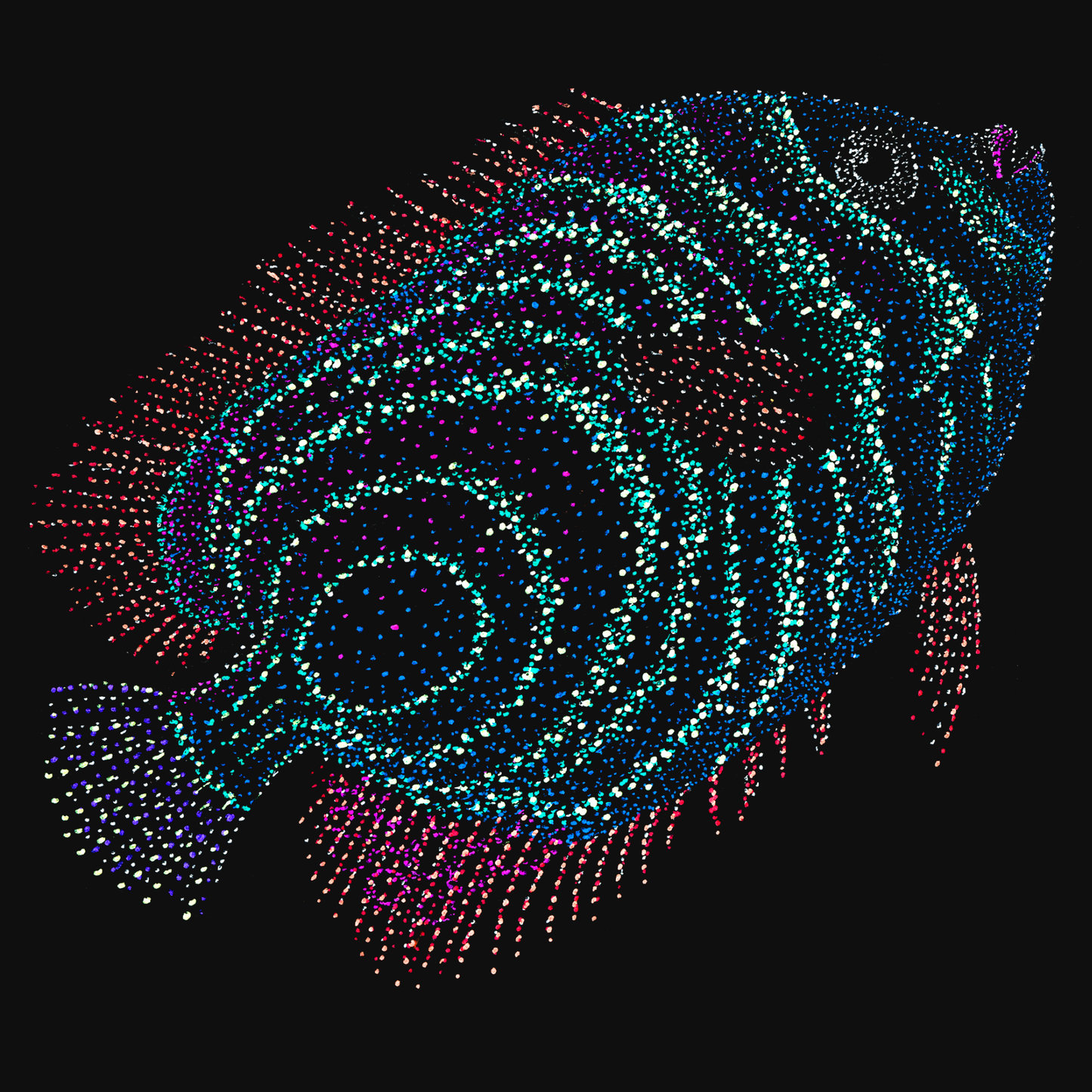 clothing-apparel-cotton-vincent-fish